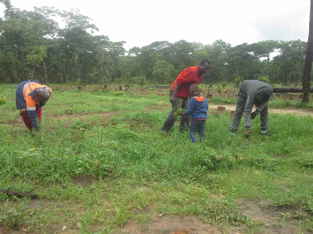 Team fieldwork - understanding real farm conditions